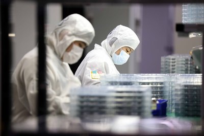 安徽合肥 多措并举保供稳产 技术开发助力高质量发展